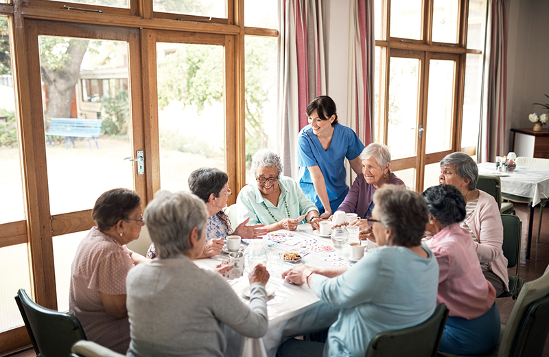 what is low icome senior housing