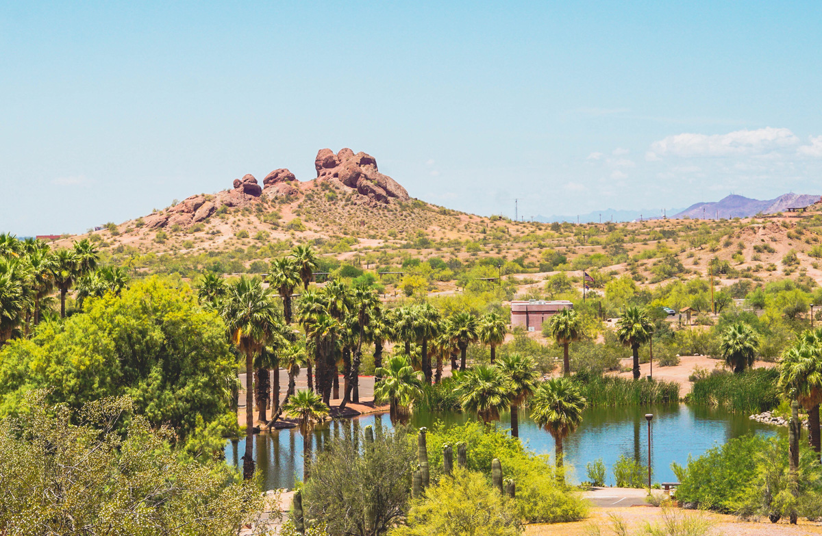 fénix oasis en el desierto