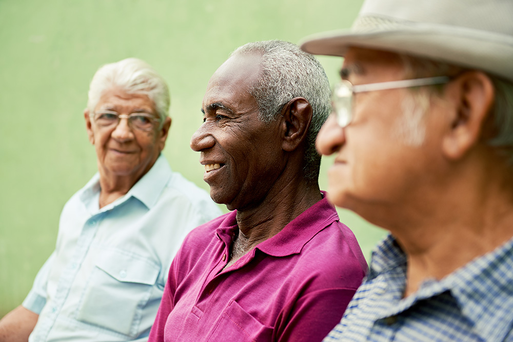 group of old black and caucasian men talking in pa