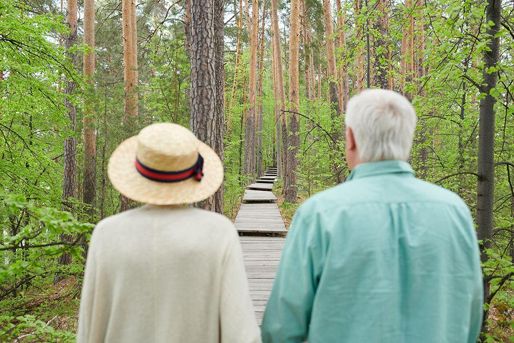 low income senior lihtc