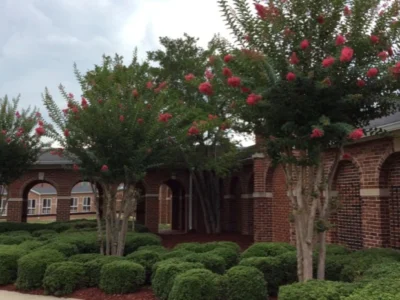 garden 44 1711662371 400x300