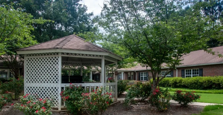 gazebo 20 1711658493 768x396